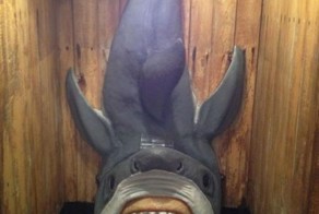 Бугагашеньки