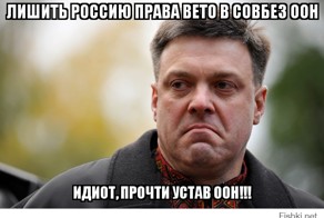 Тягнибок предложил способ лишить Россию права вето в Совбезе ООН