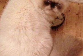 Юмор прикол