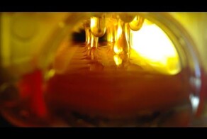  Новый улей позволяющий собирать мед автоматически