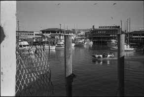 Смешные картинки