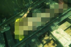 Смерть под поездом