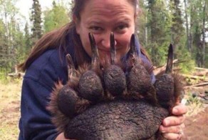 Интересные картинки с описанием