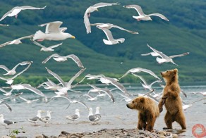 Лучшие фотографии России