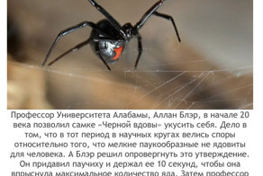 Наиболее аморальные эксперименты в человеческой истории