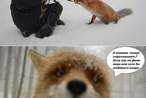 Фотоприкол дня