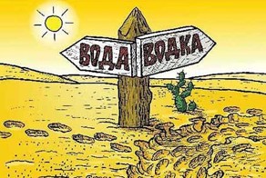 Литрбол как вид спорта
