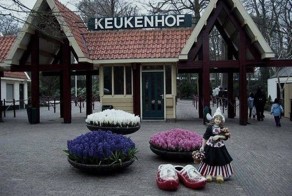 Кекенхоф (Keukenhof) - королевский парк цветов в Нидерландах