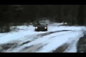Сумасшедшие гонки в лесу