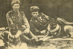 Животные - герои Великой Отечественной Войны