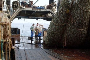 Экзотический улов в сетях рыболовного траулера