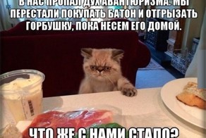 Фото, которые гарантированно поднимут вам настроение!