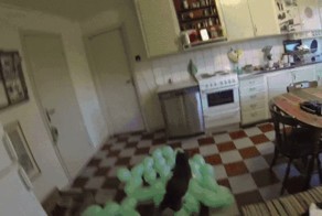 Прикольные гифки