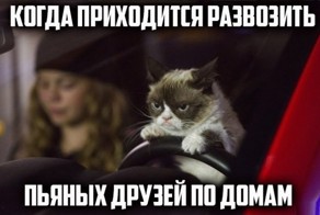 Просто смешные картинки с подписями