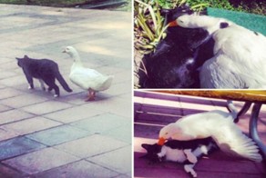 Прикольные фото