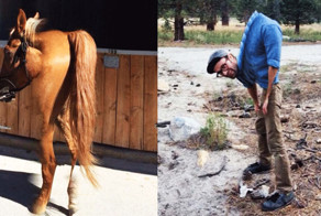 Тут и фотошопа не надо: неудачные панорамные фото