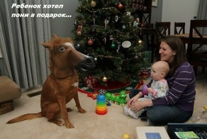 Бесплатно фото