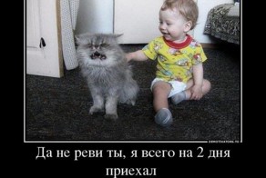 Животные и Дети. фотоподборка