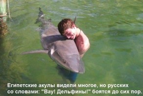 Бесплатный фотоприкол