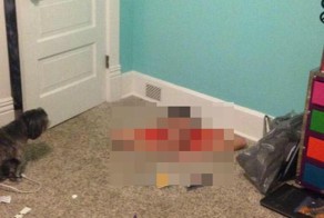  Родители пришли с работы и выпали в шок