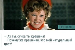 20 незабываемых цитат из фильма "Любовь и голуби"