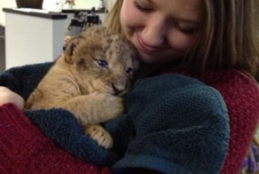 Новый фотоприкол