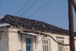 Фотоподборка