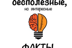 Бесполезные, но интересные факты