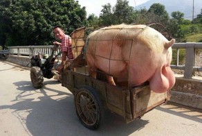 Мировые Приколы EPIC FAIL World Fun #7