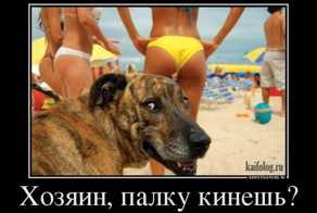 Русские демотиваторы  подборка