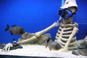 Смертельно опасные водоемы