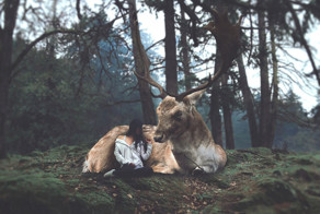 Причудливый мир фотографа