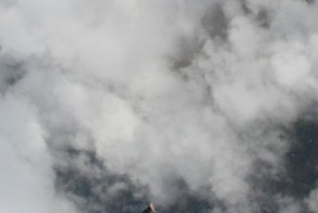 Бесплатный фотоприкол