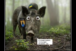 &quot;Мыздобулы&quot; в картинках, Смешные и не очень... Ч.11