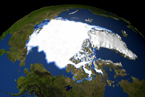 Шойгу: Россия готова с оружием защищать право на Арктику