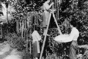 Самый известный первоапрельский розыгрыш в истории