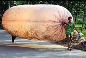 Хохлам на заметку ))))