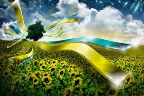 Продуктовая паника началась на Западной Украине