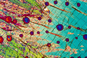 Алкоголь под микроскопом