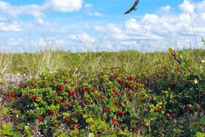 Красивые фото нашей родины