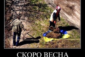 &quot;Мыздобулы&quot;  в картинках. Смешные и не очень... Ч.12