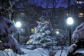 Владивосток празднует день жестянщика