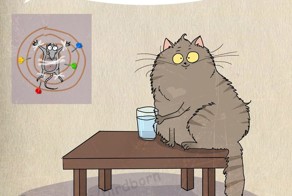 Чему можно поучится у Котэ