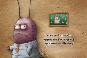 Забавные зверушки от Гражданин Пройдемтес