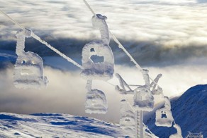 12 примеров неудачного дня, когда стоило остаться дома