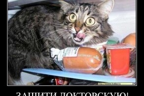 Мотивирующий микс демотиваторов