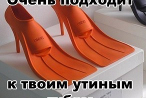 Фотоприкол