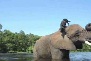 Вот она дружба! Улыбнитесь друзья