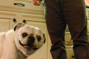 Прикол картинка