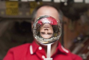 Фотоподборка